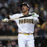 A Detailed Look at the Padres' Minor League Affiliates