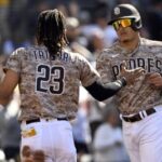 A Detailed Look at the Padres' Minor League Affiliates